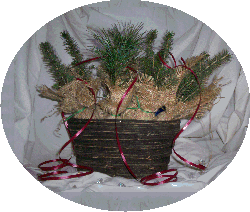 Basket as table centre piece using White and Blue Spruce and White Pine